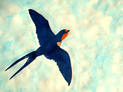 Barn Swallow